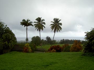 Plantation in the North